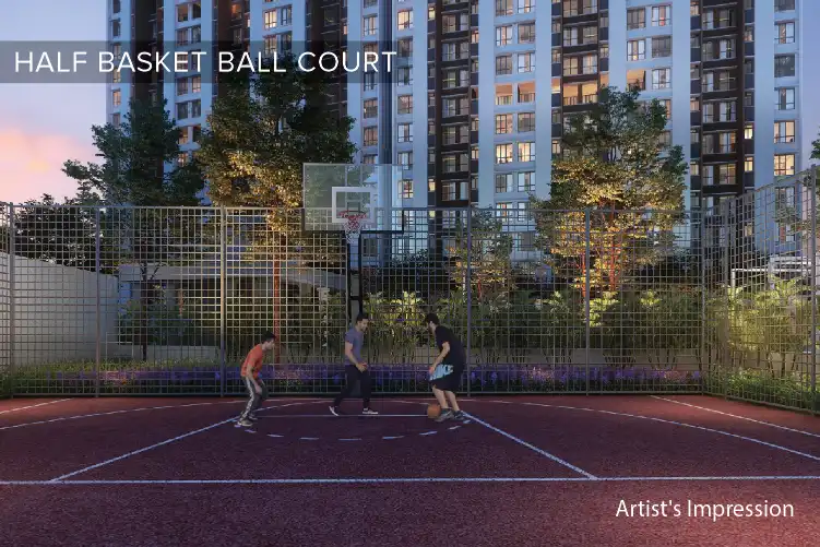 Sports and recreation court